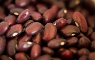 Beans: the food of the future