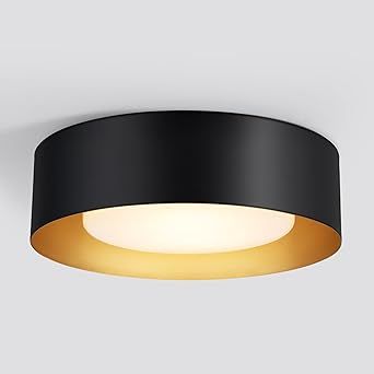 Vikaey Modern Flush Mount Ceiling Light, 2-Light Black Round Close to Ceiling Light Fixture, Minimalist Drum Ceiling Lamp with Glass Lampshade for Bedroom, Hallway, Laundry Room, Kitchen, 12.5in