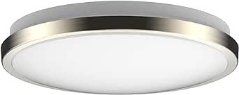 DYMOND LED Ceiling Light Flush Mount 10 Inches | Dimmable | Ring | 3000K/4000K (3000K Warm White, 10 inches)