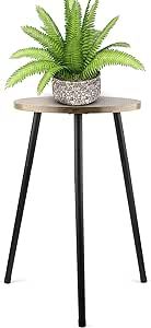 HW HUGEWAY INT'L Indoor Round Plant Stand Stool, 20 Inch Tall Mid Century Modern Plant Stand Single, Dark Wood Pedestal Plant Stand for Flower Pots, Heavy Duty Metal Fern Stand (Walnut)