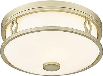 Flush Mount Ceiling Light Fixtures with Clear Glass Shade, 13 Inch 2-Light Indoor Outdoor Farmhouse Lighting Flush Mount Lights for Kitchen Bedroom Porch Living Dining Room