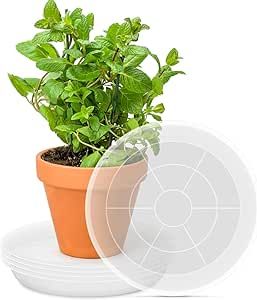 PACETAP 12 inch Plant Saucer Pot Tray 5 Pack, Large Heavy Duty Flower Planter Water Drip Trays for Indoors Outdoors Garden, Round Plastic Planter Water Catcher for Pot, Plant Dish