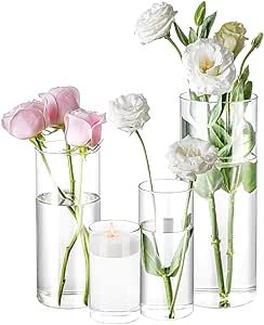 4 Pack Glass Cylinder Vases 4,6,8,10 Inch Tall Clear Flower Vase Hurricane Floating Candle Holder for Table Centerpiece Wedding Home Decor