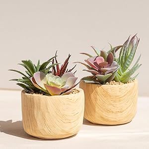 Succulents Plants Artificial, Faux Succulents in Wood Grain Potted,Lifelike Small Fake Succulents with Fake Flowers for Home Office Decor