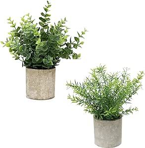 Flojery 2 Pack Small Fake Plants Faux Eucalyptus Potted Artificial Plants for Home Indoor Office Bathroom Dining Room Coffee Table Decor
