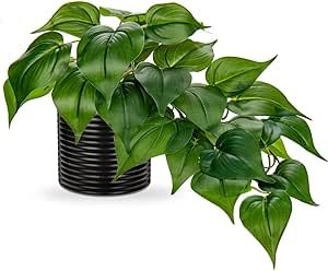 Hollyone Artificial Plants Potted Fake Plants in Black Ceramic Pot Faux Pothos Plants Indoor for Home Living Room Shelf Office Aesthetic Decor