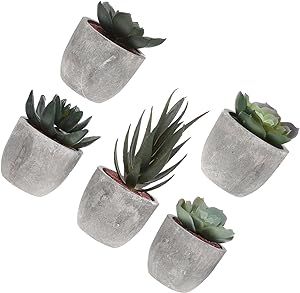 Zerodeko 5pcs Fake Flower Bonsai Miniture Decoration Indoor Plant Pot Artificial Greenery Green Decorations Small Potted Plants Houseplants Live Indoor Fake Bonsai Plastic Desktop