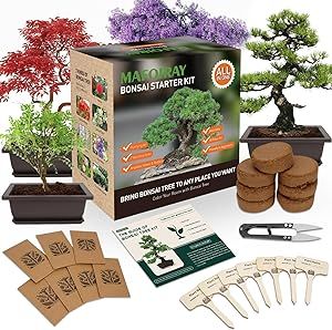 Bonsai Tree Kits, Bonsai Starter Kits with Bonsai Pots, Tools, Bonsai Tree Live, 7 Kinds of Bonsai Tree Seeds, Soil, Trays, Grow Bonsai in Indoor, Beginners Kits Garden Plant Kits Gifts for Men Women