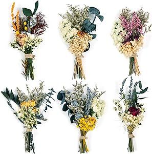 Dried Flower Natural Dried Floral Plant Mini Bouquet Photography Props Dry Flower Flower Bundle Plant Stem Bunch for DIY Craft 6 PCS