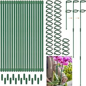 30 Pack Plant Stakes 12 Inch, Adjustable Length Plant Support Stakes for 3 Sizes (12, 24 or 36 Inches), Green Plant Sticks Fiberglass Single Stemmed Flower Support for Potted Indoor Plants