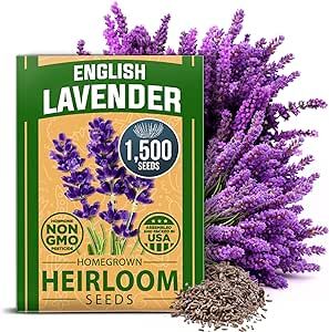 HOME GROWN Premium English Lavender Seeds | 1500 Non-GMO Herb Seeds | USA-Sourced Wildflower Seed for Planting Indoor/Outdoor | High Germination | Plant Flower Seeds