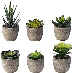 Sophia's Garden Small Artificial Succulents Plants Artificial Potted Fake Plant Decor Bedroom (6 Piece Faux Succulents in Pots 2.3") Fake Succulent Decor Fake Succulents Mini