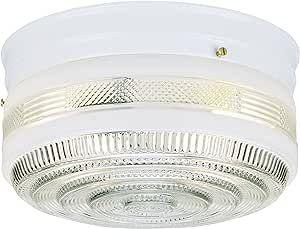 Westinghouse 6623800 Flush-Mount Interior Ceiling Fixture, Finish Glass, Two Light 10.75", Clear,White