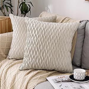 Regal Home Collections Pleated Throw Pillow Case - 18x18 Pillow Cover - Square Cushion Cover for Couch/Sofa/Bed Pillows & Decorative Throw Pillows, 2 Pack- Textured Beige